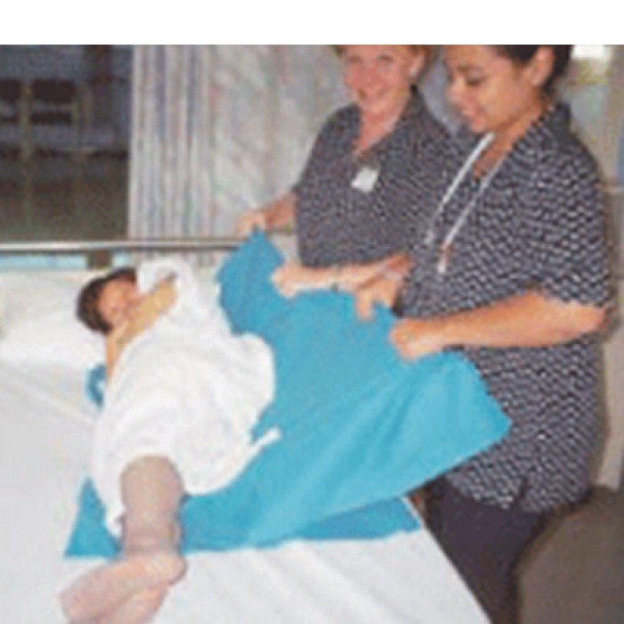 Slide Sheet Silicon Double Polyglide , Blue - 135x190cm 